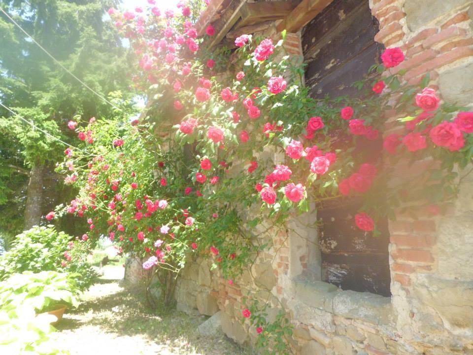 Bottega Di Montegiovi Hotel Scopeti Zewnętrze zdjęcie